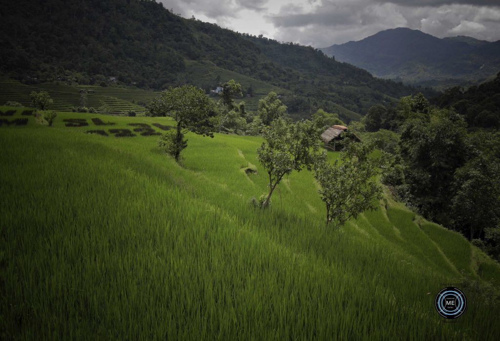 Hoang Su Phi, Suoi Thau,  เที่ยวเวียดนาม, วางแผนเที่ยวเวียดนาม, เที่ยวเวียดนามเหนือ, เที่ยวเวียดนามด้วยตัวเอง, Things to do Ha giang, แหล่งท่องเที่ยวฮาซาง,  remindmelatertraveling.com, ตะลุยเวียดนามเหนือ,  เวียดนามเที่ยวไหนดี, เวียดนามเหนือ,  ที่เที่ยวเวียดนามเหนือ, รีวิวเที่ยวเวียดนามด้วยตนเอง, วางแผนเที่ยวเวียดนาม, สถานที่เที่ยวเวียดนามเหนือ,  เที่ยวเวียดนาม2อาทิตย์, เที่ยวเวียดนามด้วยตัวเอง, เที่ยวเวียดนามเหนือ