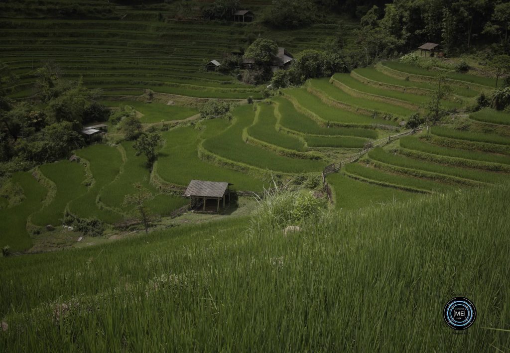 Hoang Su Phi, Suoi Thau,  เที่ยวเวียดนาม, วางแผนเที่ยวเวียดนาม, เที่ยวเวียดนามเหนือ, เที่ยวเวียดนามด้วยตัวเอง, Things to do Ha giang, แหล่งท่องเที่ยวฮาซาง,  remindmelatertraveling.com, ตะลุยเวียดนามเหนือ,  เวียดนามเที่ยวไหนดี, เวียดนามเหนือ,  ที่เที่ยวเวียดนามเหนือ, รีวิวเที่ยวเวียดนามด้วยตนเอง, วางแผนเที่ยวเวียดนาม, สถานที่เที่ยวเวียดนามเหนือ,  เที่ยวเวียดนาม2อาทิตย์, เที่ยวเวียดนามด้วยตัวเอง, เที่ยวเวียดนามเหนือ