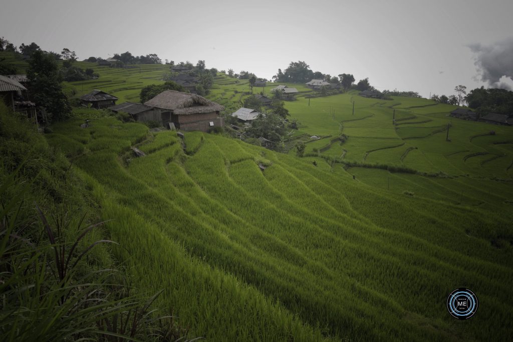 Ban Phung, Hoang Su Phi, Suoi Thau, เที่ยวเวียดนาม, วางแผนเที่ยวเวียดนาม, เที่ยวเวียดนามเหนือ, เที่ยวเวียดนามด้วยตัวเอง, Things to do Ha giang, แหล่งท่องเที่ยวฮาซาง, remindmelatertraveling.com, ตะลุยเวียดนามเหนือ, เวียดนามเที่ยวไหนดี, เวียดนามเหนือ, ที่เที่ยวเวียดนามเหนือ, รีวิวเที่ยวเวียดนามด้วยตนเอง, วางแผนเที่ยวเวียดนาม, สถานที่เที่ยวเวียดนามเหนือ, เที่ยวเวียดนาม2อาทิตย์, เที่ยวเวียดนามด้วยตัวเอง, เที่ยวเวียดนามเหนือ