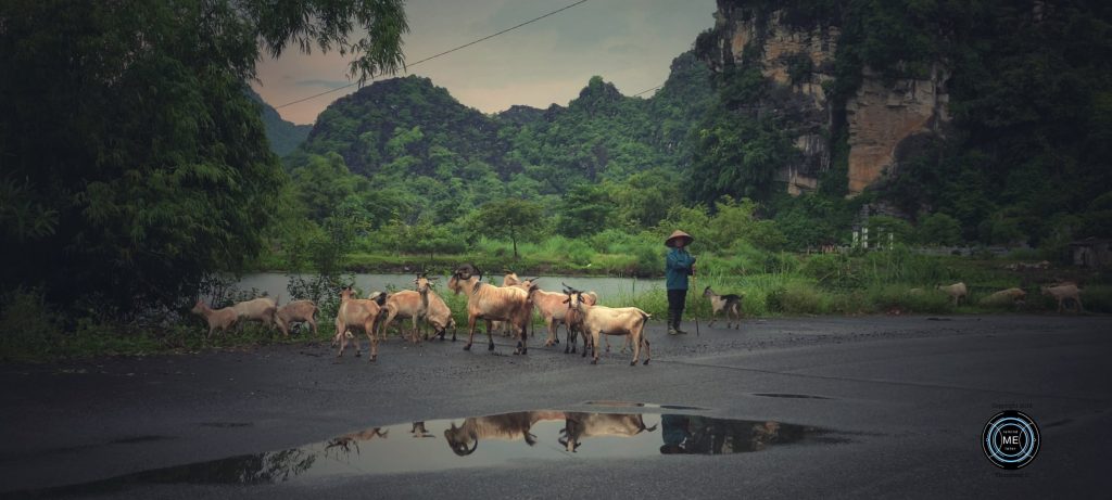 Hoa Lu Ancient Capital, Nihn Bihn, Tam Coc, เที่ยวเวียดนาม, วางแผนเที่ยวเวียดนาม, เที่ยวเวียดนามเหนือ, เที่ยวเวียดนามด้วยตัวเอง, Things to do Nihn Bihn, แหล่งท่องเที่ยวนิญบิ่ญ, remindmelatertraveling.com, ตะลุยเวียดนามเหนือ, เวียดนามเที่ยวไหนดี, เวียดนามเหนือ, ที่เที่ยวเวียดนามเหนือ, รีวิวเที่ยวเวียดนามด้วยตนเอง, วางแผนเที่ยวเวียดนาม, สถานที่เที่ยวเวียดนามเหนือ, เที่ยวเวียดนาม2อาทิตย์, เที่ยวเวียดนามด้วยตัวเอง, เที่ยวเวียดนามเหนือ